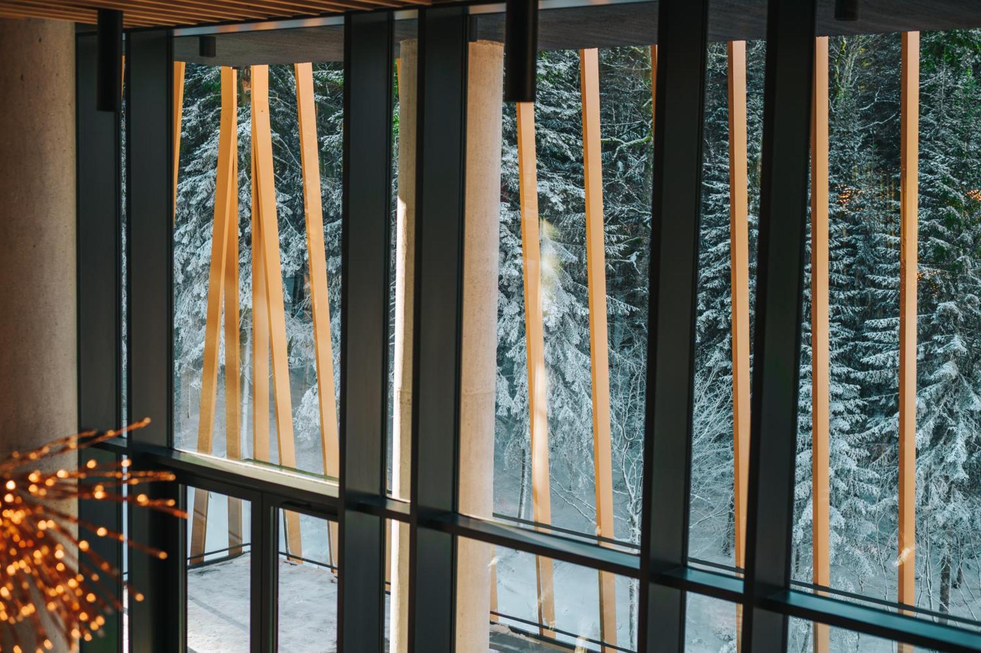Hotel Nomad Bjelašnica Εξωτερικό φωτογραφία